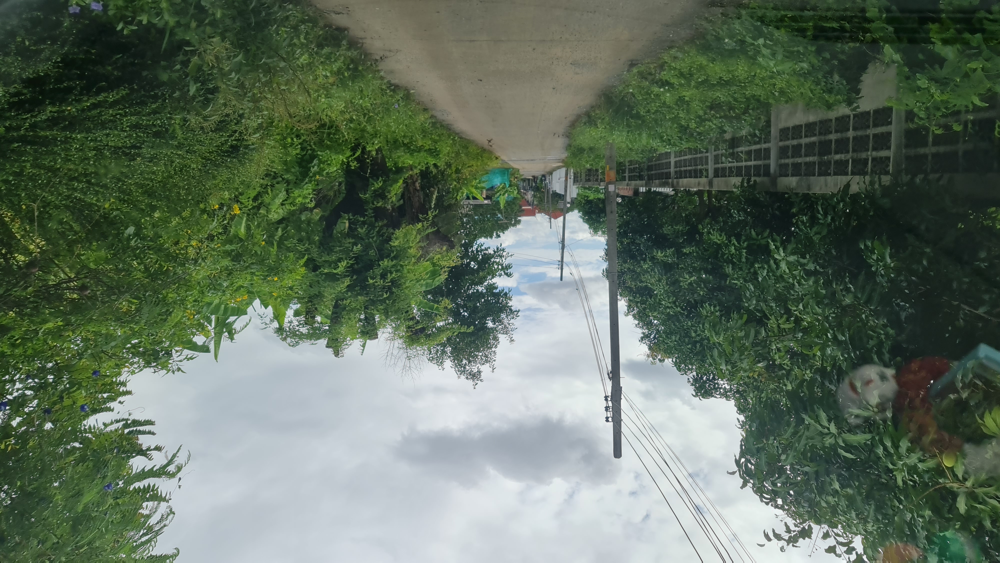 [ขายด่วน] ที่ดินแปลงใหญ่ 498 ตร.ว. พร้อมบ้านหลังใหญ่ ติดคลอง บรรยากาศร่มรื่น ย่านบางกรวย